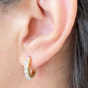 Luxe | Huggie Hoop Earrings
