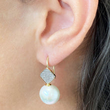 Luxe | Hook Earrings