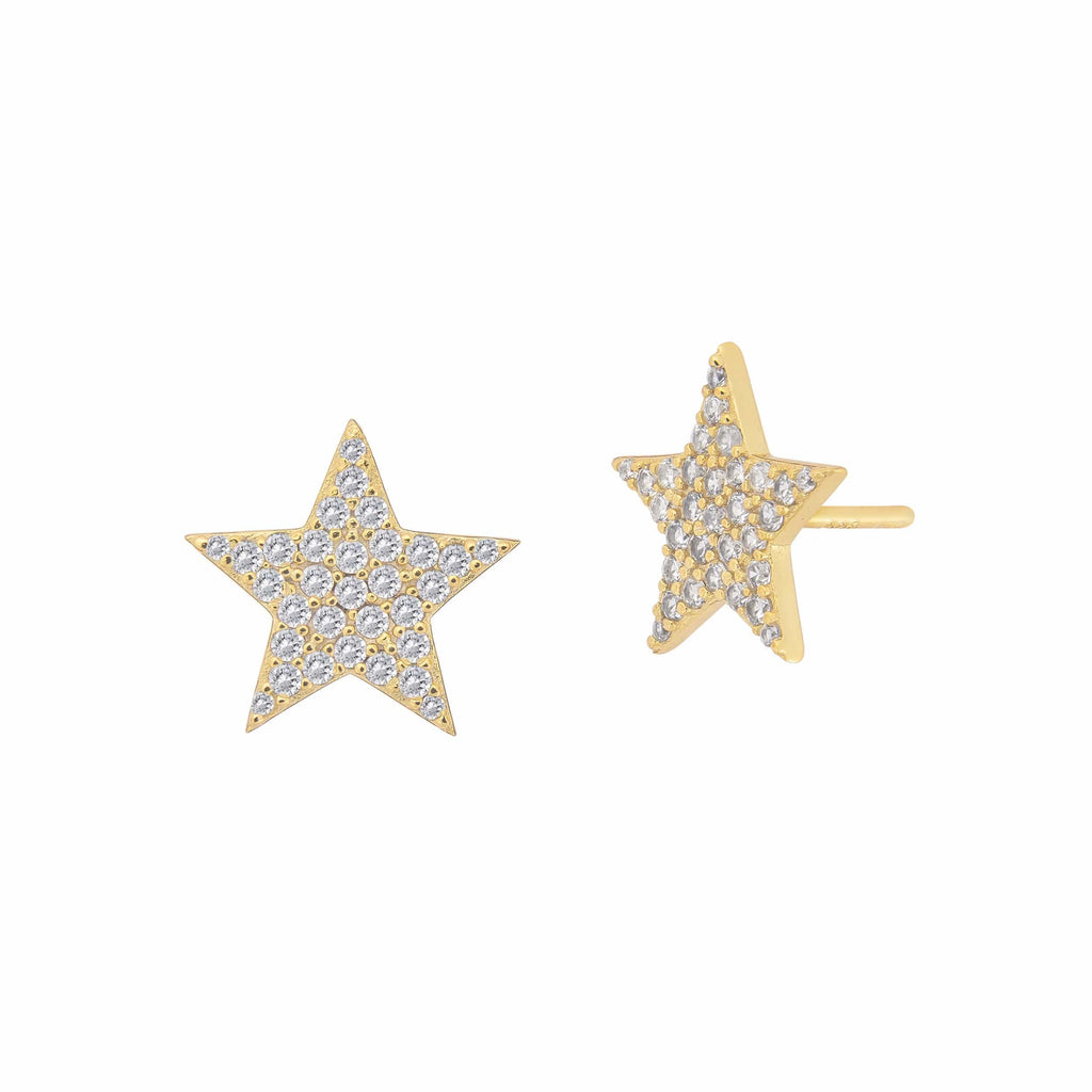 Star | Earrings